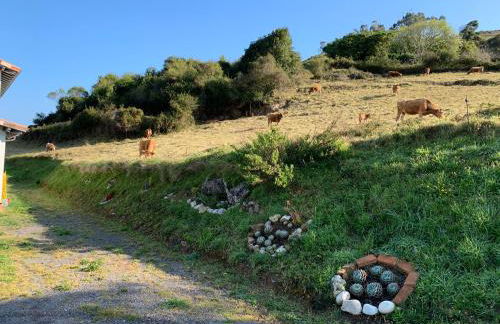 Casa Paloma - Foto 43