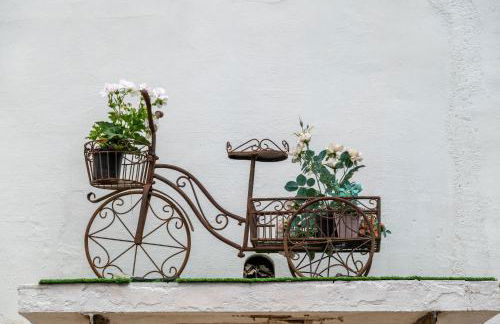 TURISME RURAL HORTA del PI - Foto 15