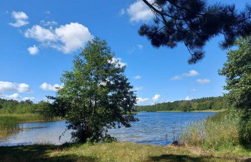 Porta Mare Marine - Foto 19