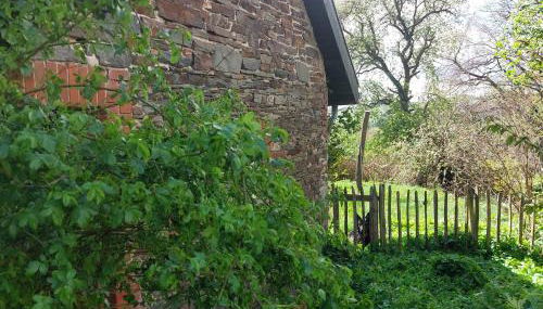 Belka am Rursee - Foto 2