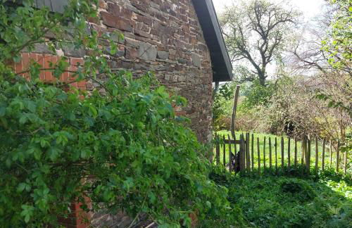 Belka am Rursee - Foto 2