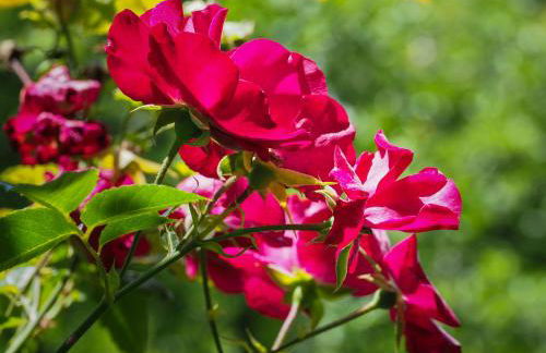 Casa de Pereiró - Foto 45