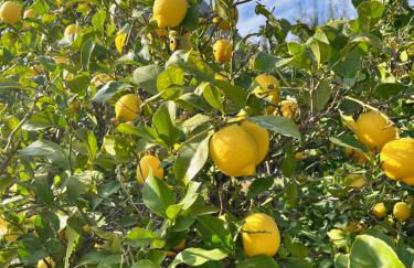 Casa El Flare - Foto 35