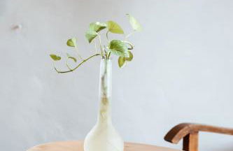 Bio-Agriturismo La Ginestra - Foto 81