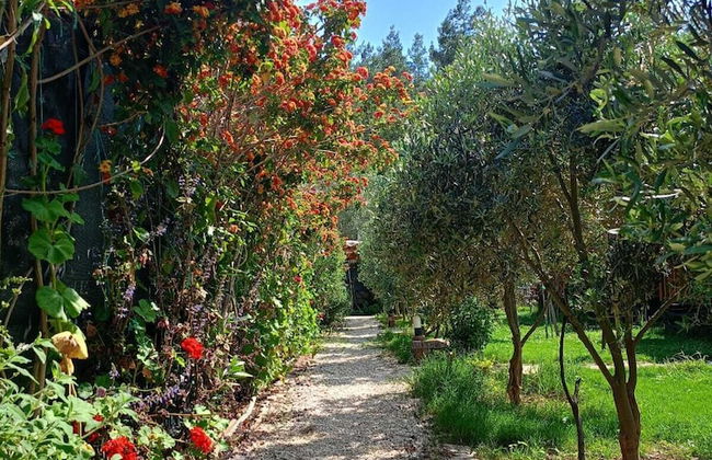 Riviera Bungalow Evleri Demre - Photo 75