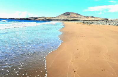 Wild House - Photo 47