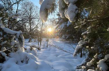 Masuria Warsaw Family - dom na wyłączność - w lesie i przy rzece - 15 min od Warszawy - idealny dla rodzin z dziećmi - Foto 59