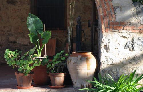 Mas Corbella - Foto 54