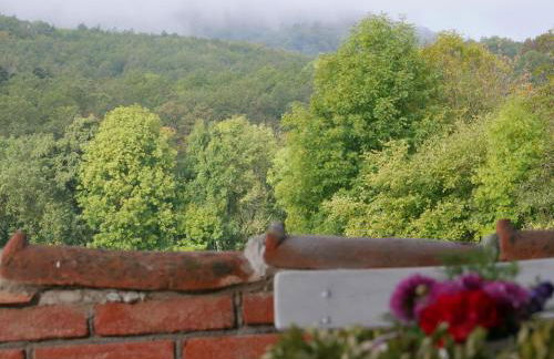 Ferienwohnungen Knodel - Foto 65