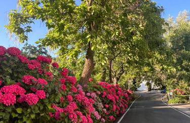 Alojamiento Rural en el corazón de la Alpujarra Granadina-La Almazara - Foto 26
