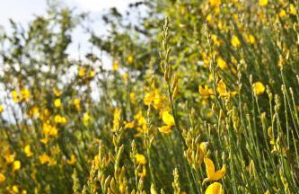 Relais Parco Del Subasio - Photo 52