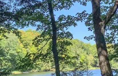 Majestic Maples on Kentuck Lake in Eagle River WI - Foto 45