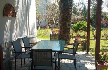 Sofia's Garden - Photo 4