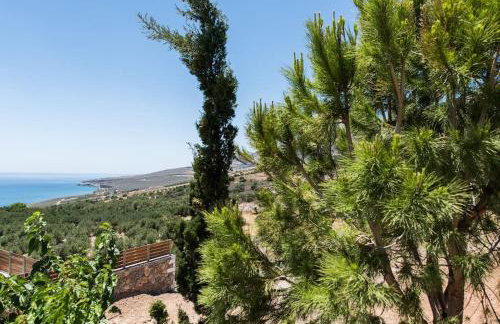 Villa Olvía - Photo 4