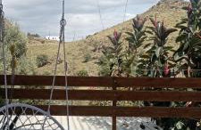 Lentas Royal - Foto 9