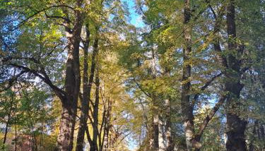 Unterkunft Mohr - Gemütlichkeit im Souterrain - Foto 3