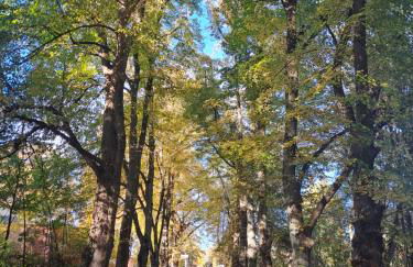 Unterkunft Mohr - Gemütlichkeit im Souterrain - Foto 3