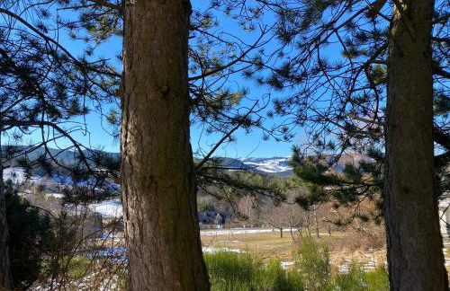 A l'Oree du Bois - Foto 19