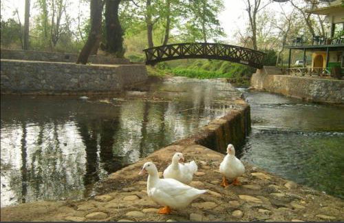 Vryses Crete-Village Vibes - Foto 32