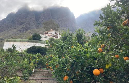 Casa Camino Tamadaba II (bottom home) - Foto 33