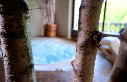 BELVEDERE Appart & Chalet - Ihr Zuhause auf Zeit am Edersee - Ihr Geschenk die GästeCard GrimmHeimat - Foto 35