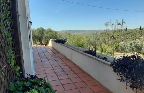 Cortijo Ramonsillos - Photo 23