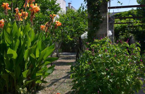 Casale del Forno - Foto 65