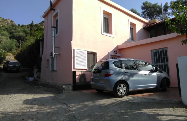 Garden Of Olive Trees - Photo 15