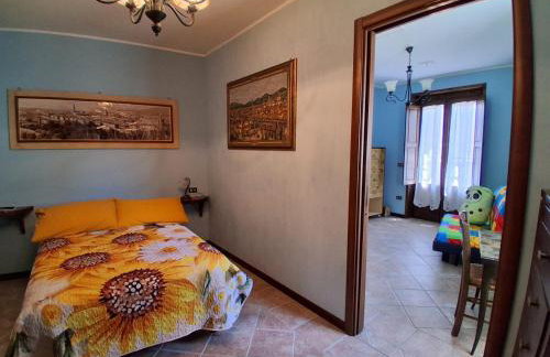 Il girasole - Foto 20