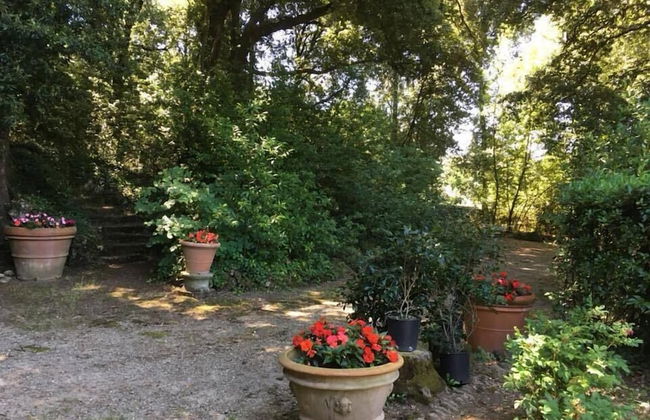 Villa Rucellai - Foto 61