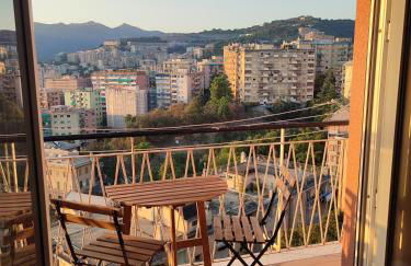 Donny Dude Panorama - Foto 23