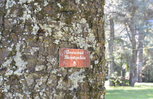 Hotel Fazenda Pedras Brancas - Foto 39