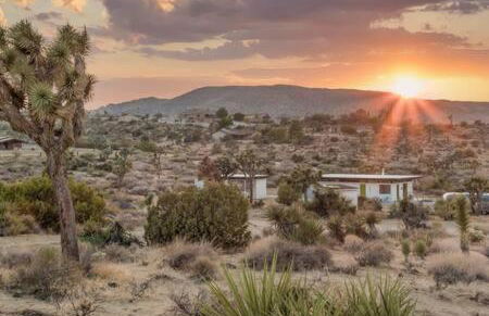 Desert Diamond- Joshua Tree Cowboy Pool and Spa - Foto 10