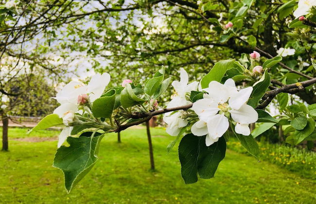 In het huis van Jo Daggert - Foto 15