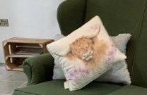 Andy's Home Cottage - Foto 8