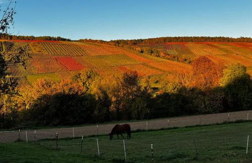 Ferienwohnungen Auszeit Taubertal - Foto 31
