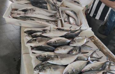 Flat frente mar no Shopping Piratas , com estacionamento - Foto 59