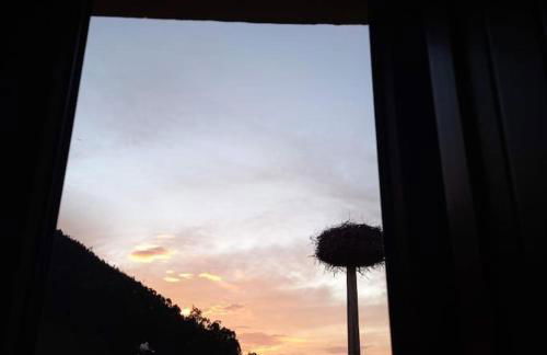 PequeñoCabárceno - Foto 34