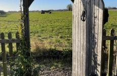 Chestnut Cottage - Foto 41