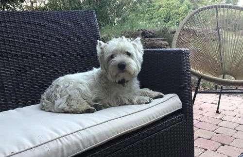 Gîte des Bruyères - Foto 25