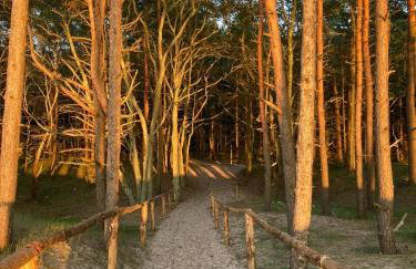 Apartamenty nad morzem Przy klifie 3 Dębina - Foto 39