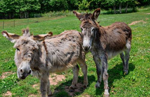 2 Bed in Aylton 77377 - Foto 31