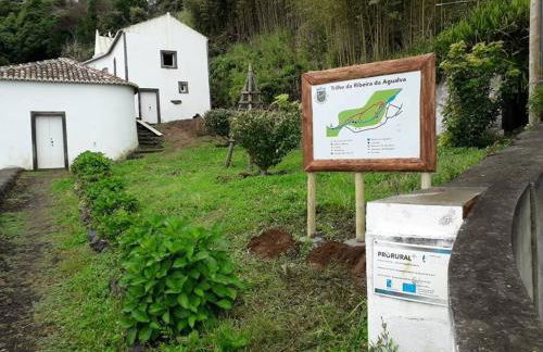 Casa do Avô Fernando - Photo 25