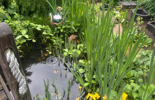 Ferienwohnung - Foto 31