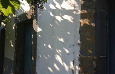 Lazy Lizard by the Ocean - Foto 67