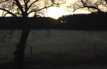 Urlaubsglück Familien- & Hunde-Paradies - Foto 22