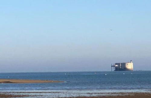 Appartement cosy à Boyardville - Foto 13