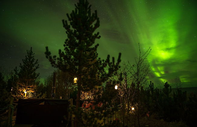 Kaldá Lyngholt Holiday Homes - Foto 15