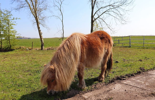 Farmhouse in Suwald With Hot Tub - Foto 41
