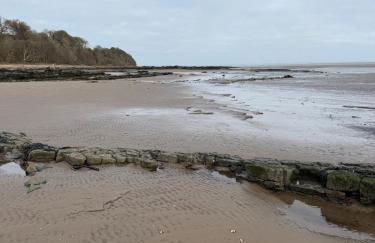 Paws a while - Foto 6